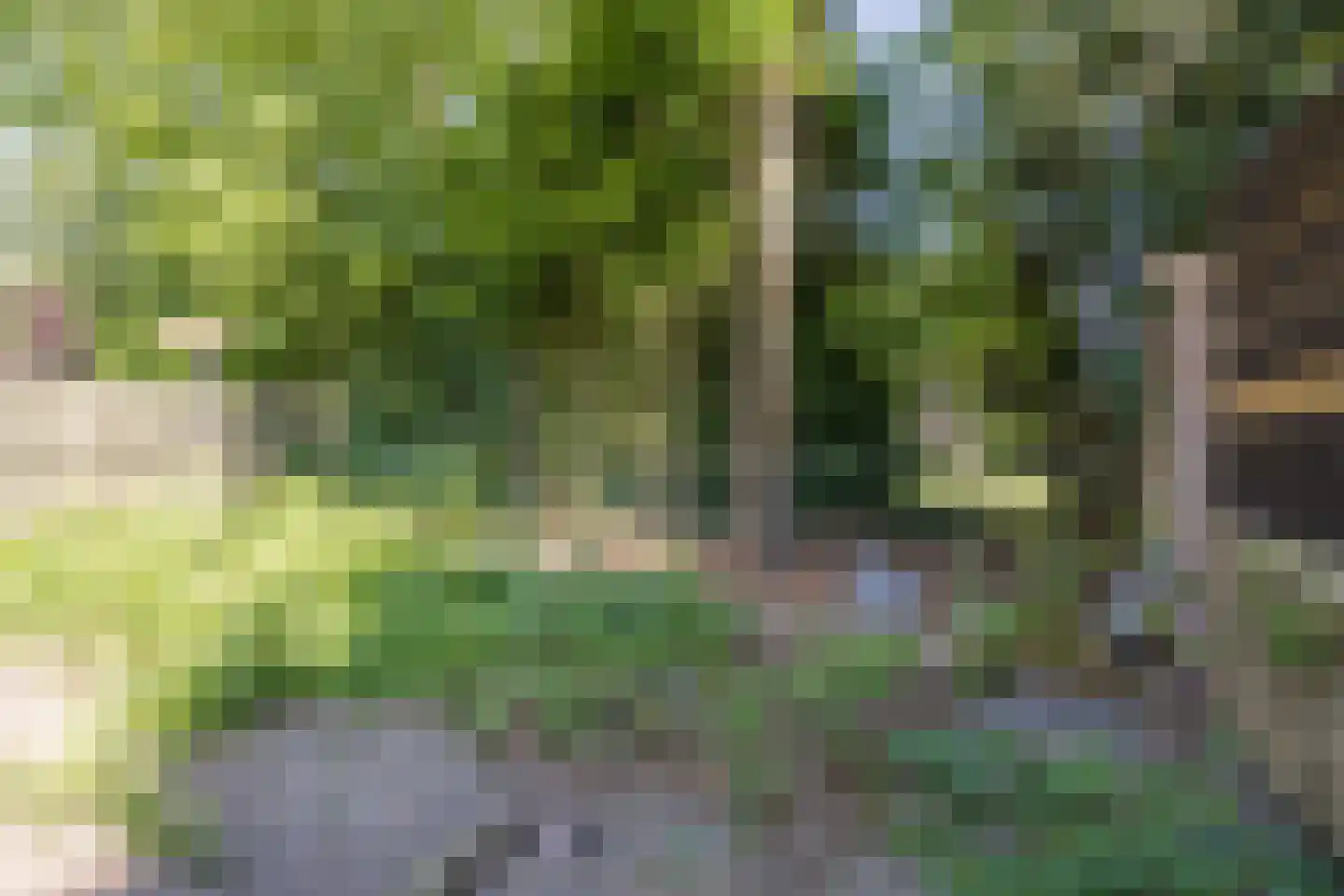 Kwartelhoek 12 Vroomshoop thumbnail 36