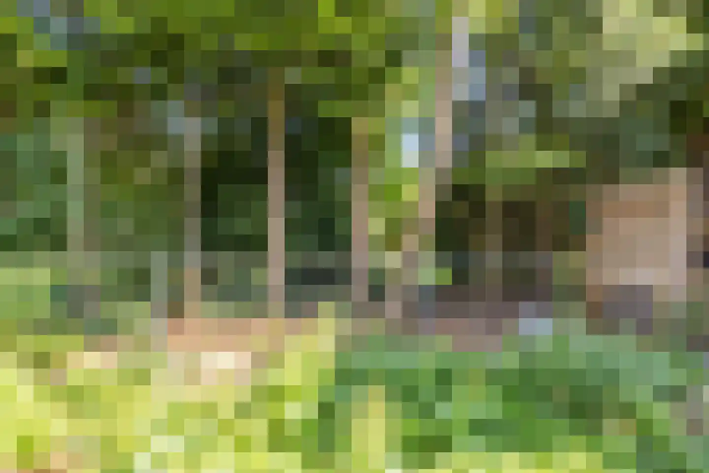 Kwartelhoek 12 Vroomshoop thumbnail 37