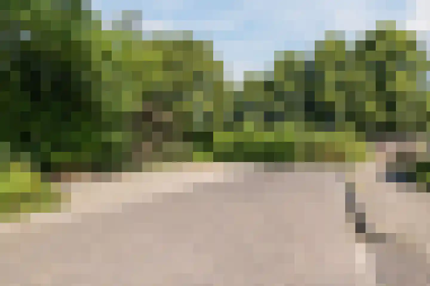 Kwartelhoek 12 Vroomshoop thumbnail 39
