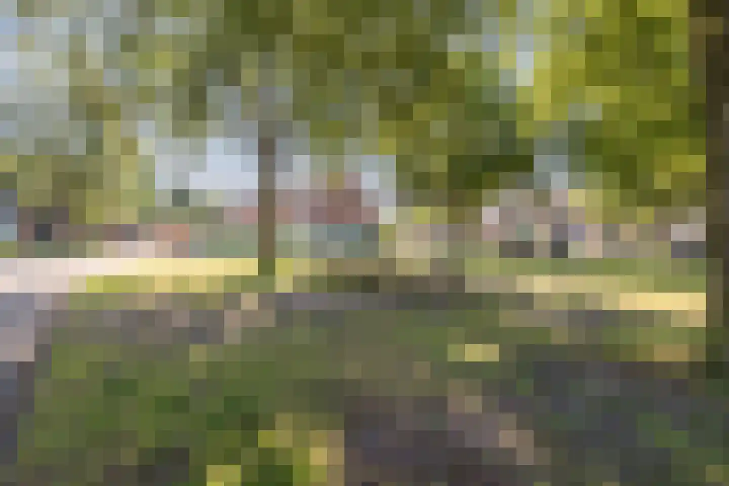 Kwartelhoek 12 Vroomshoop thumbnail 40