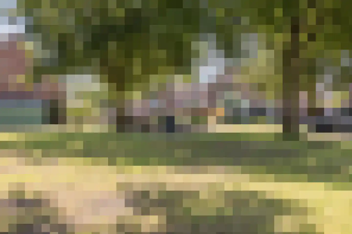 Kwartelhoek 12 Vroomshoop thumbnail 41
