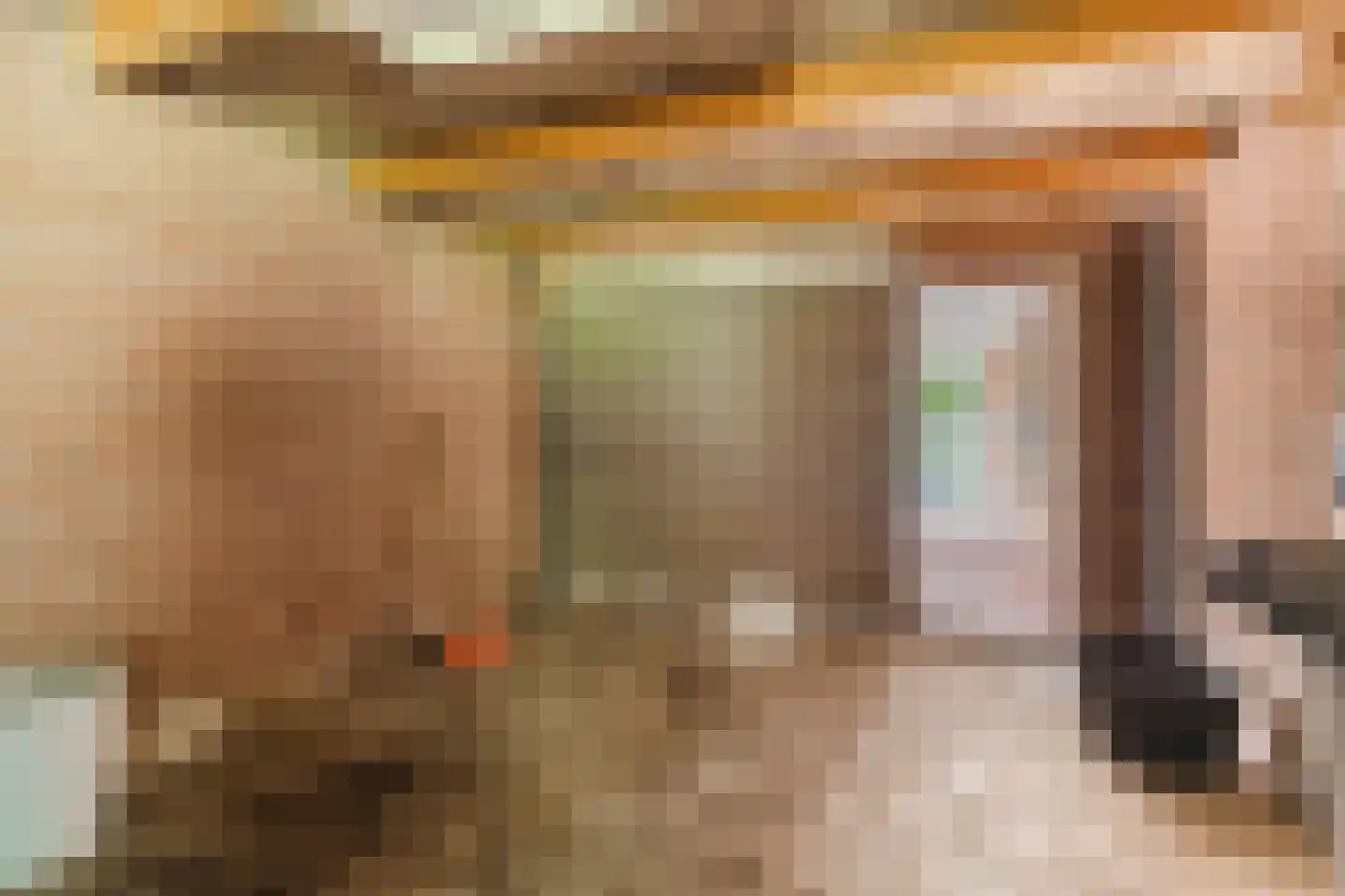 Kwartelhoek 12 Vroomshoop thumbnail 44