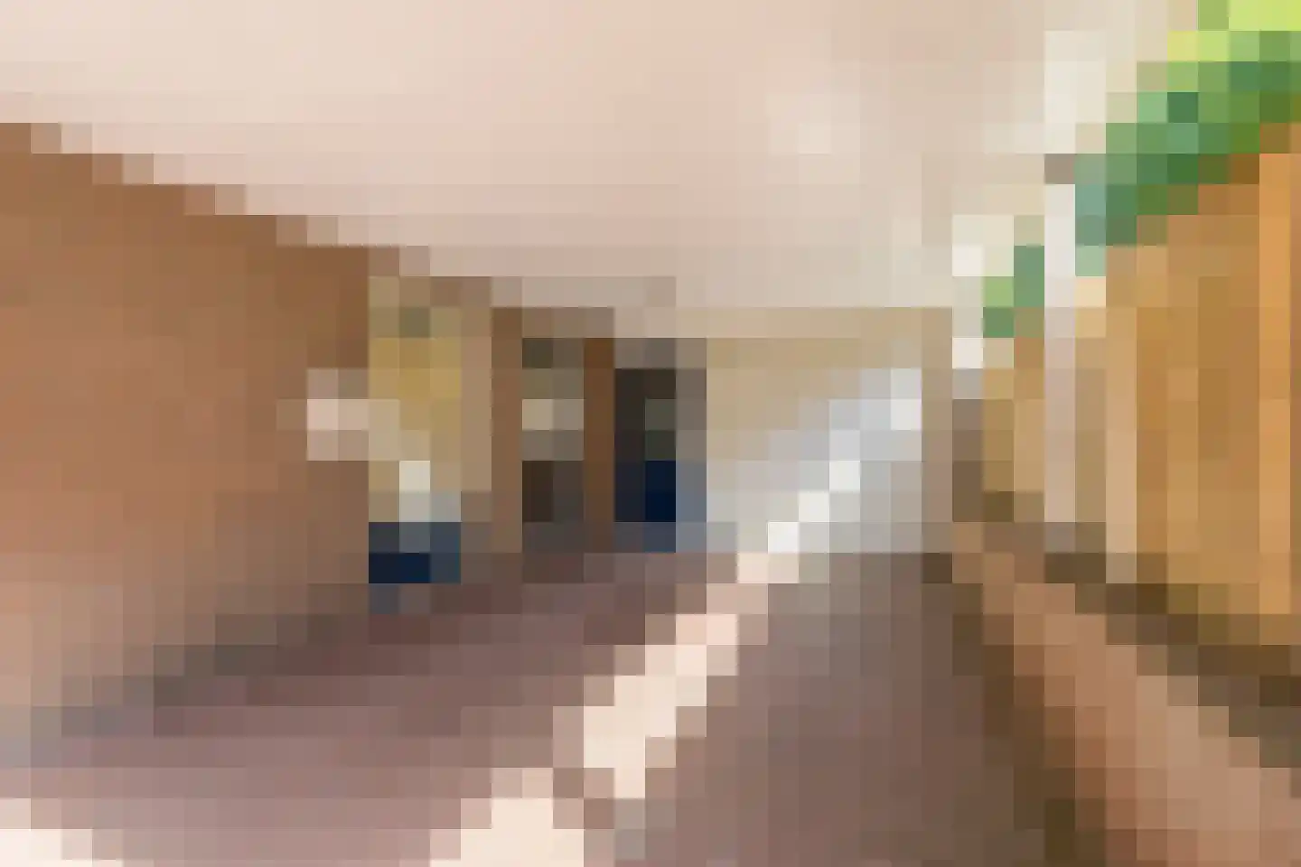 Kwartelhoek 12 Vroomshoop thumbnail 45