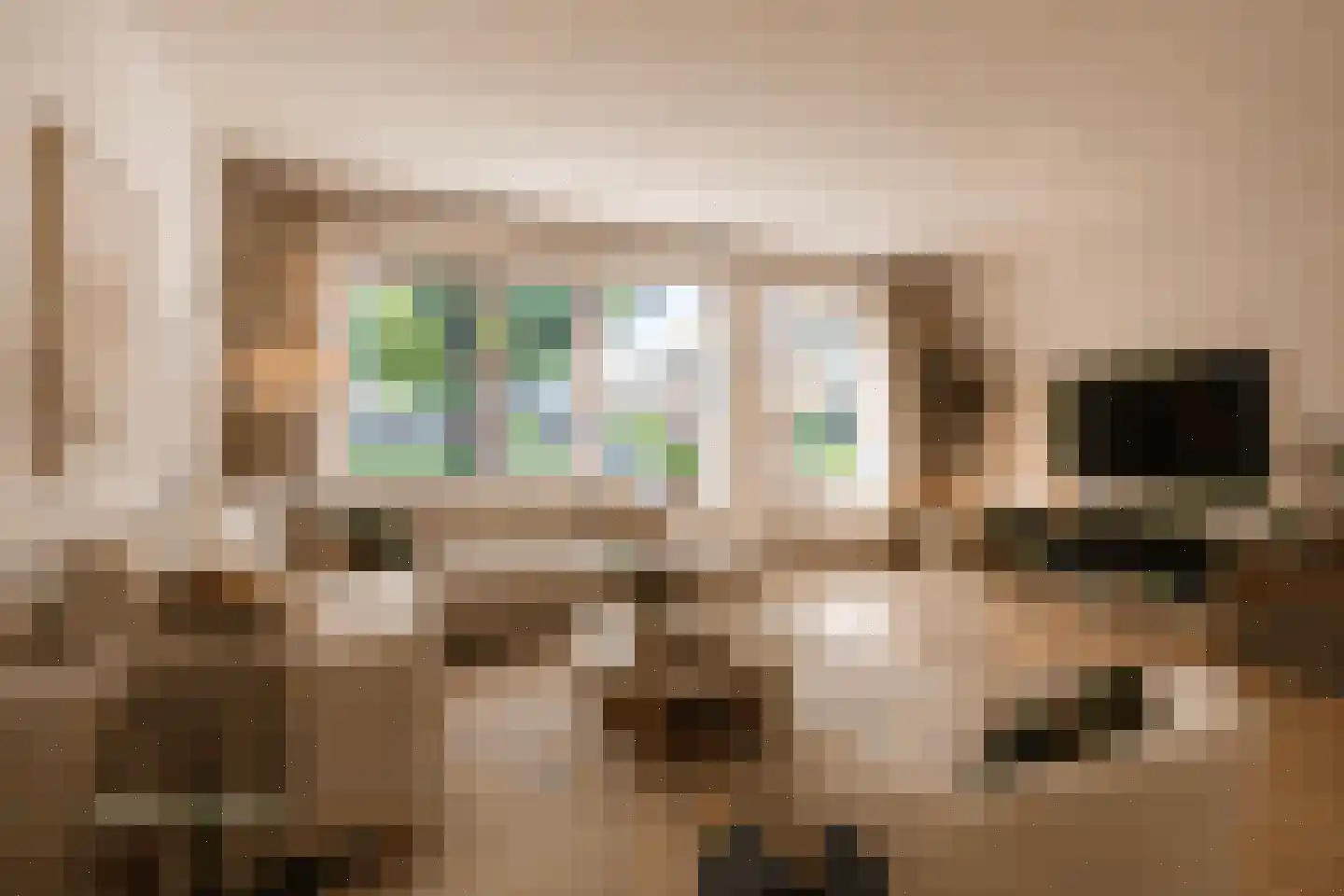 Kwartelhoek 12 Vroomshoop thumbnail 5
