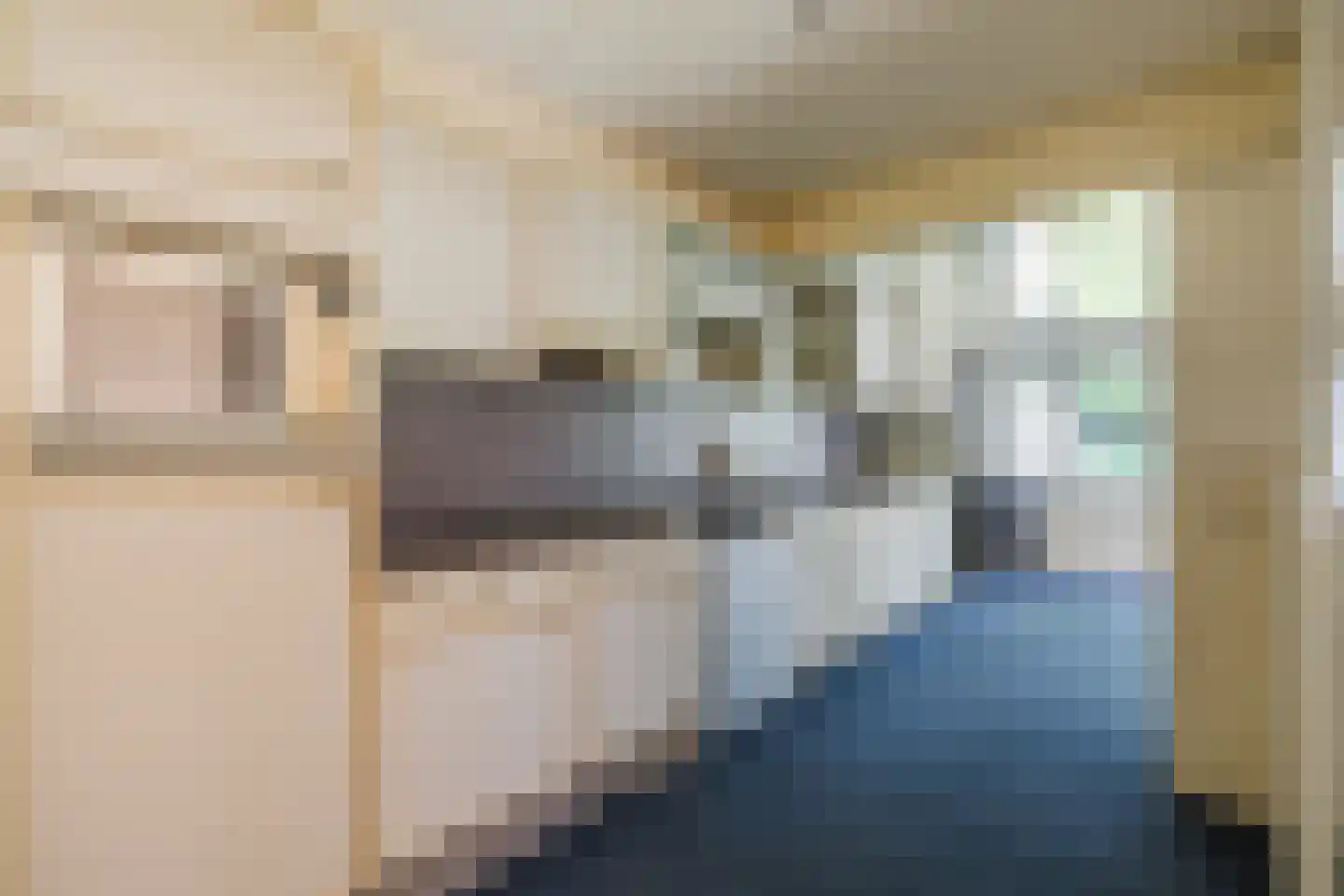 Kwartelhoek 12 Vroomshoop thumbnail 6