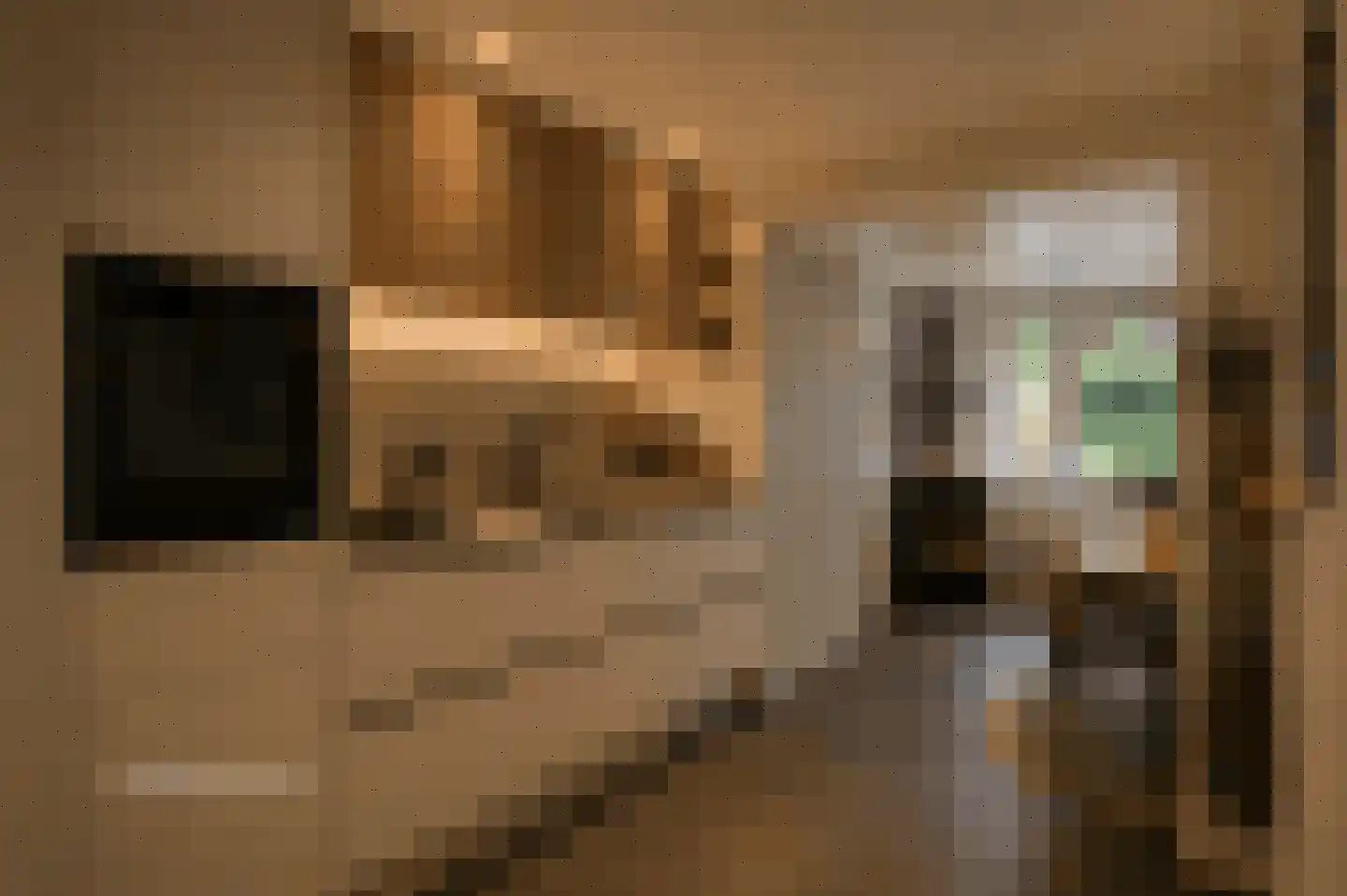 Kwartelhoek 12 Vroomshoop thumbnail 7