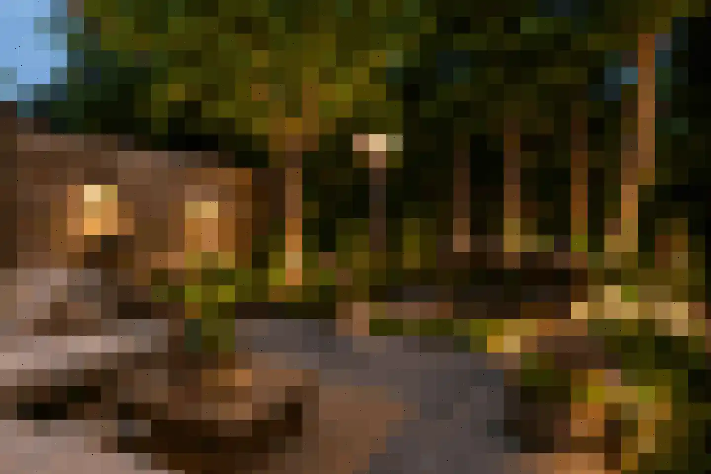 Kwartelhoek 12 Vroomshoop thumbnail 9