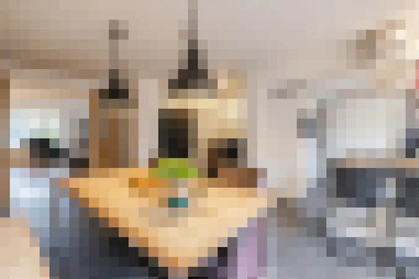 Kwartelhoek 5 Vroomshoop thumbnail 10