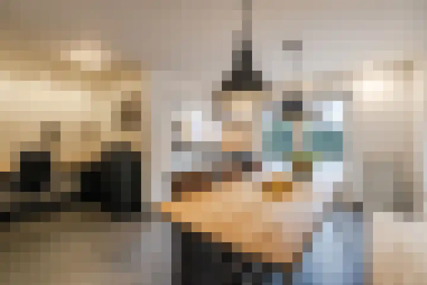 Kwartelhoek 5 Vroomshoop thumbnail 11