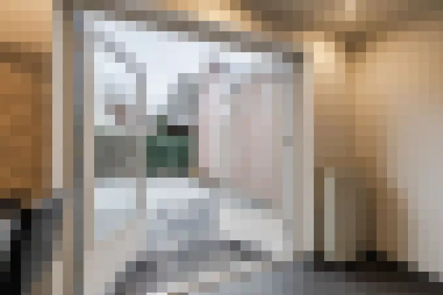 Kwartelhoek 5 Vroomshoop thumbnail 12