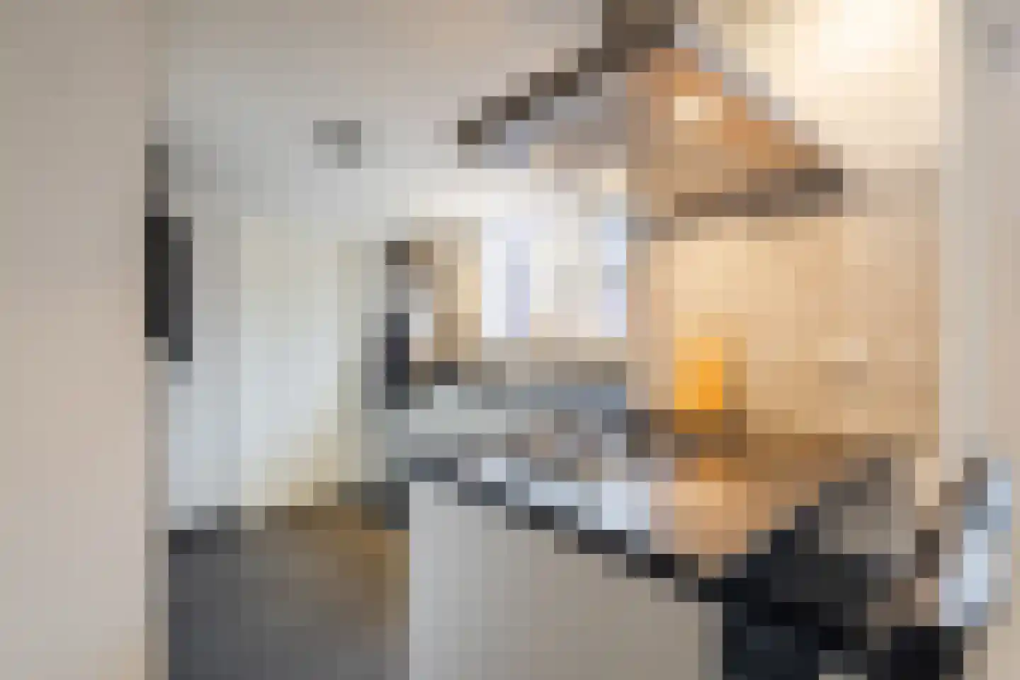 Kwartelhoek 5 Vroomshoop thumbnail 15