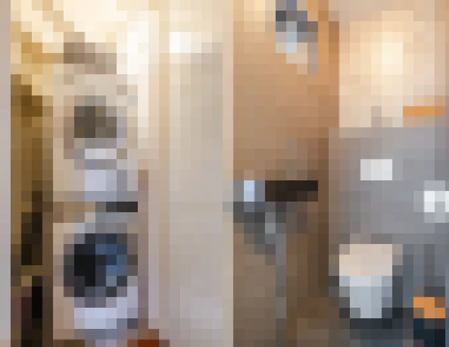 Kwartelhoek 5 Vroomshoop thumbnail 17