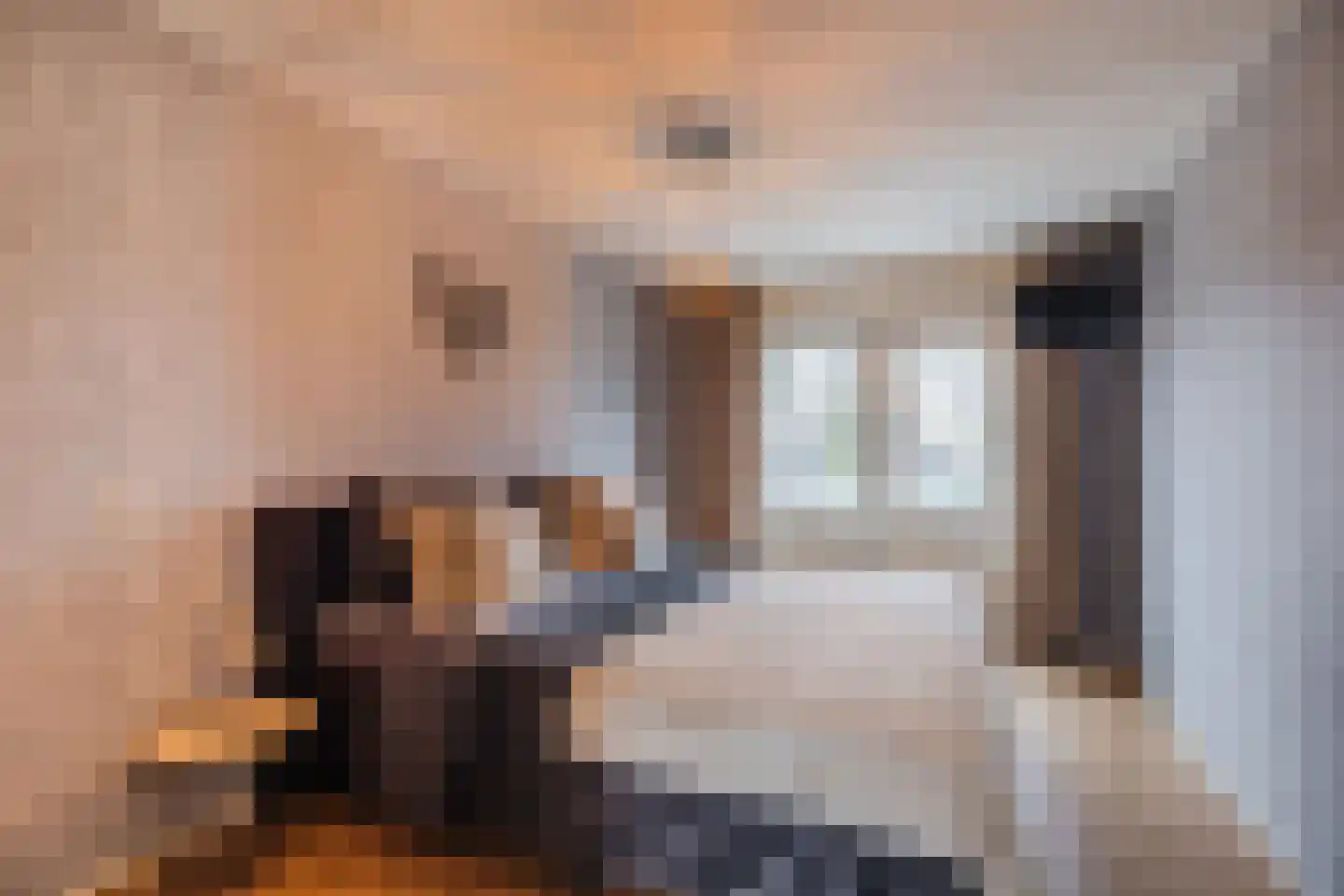 Kwartelhoek 5 Vroomshoop thumbnail 19