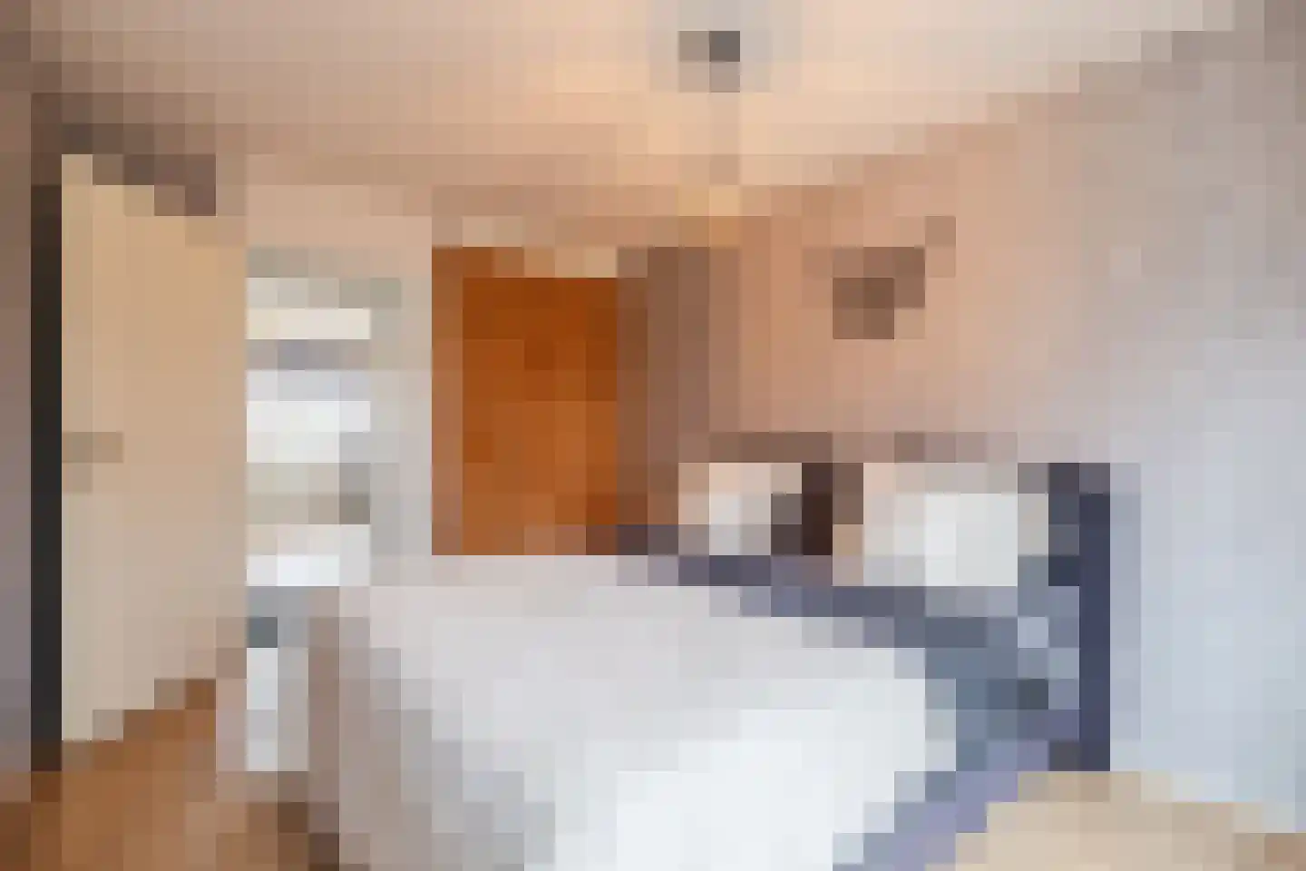 Kwartelhoek 5 Vroomshoop thumbnail 20