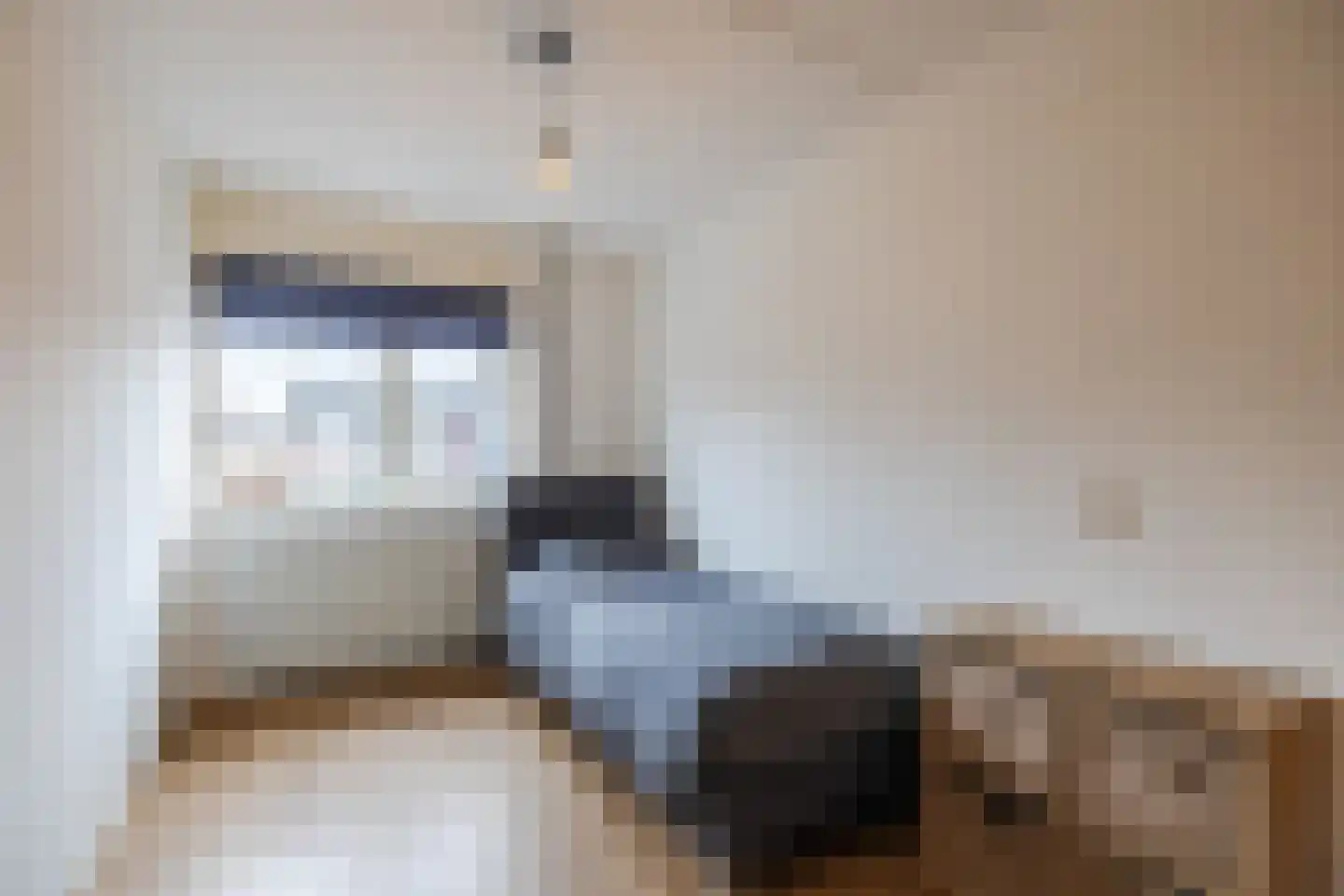 Kwartelhoek 5 Vroomshoop thumbnail 24