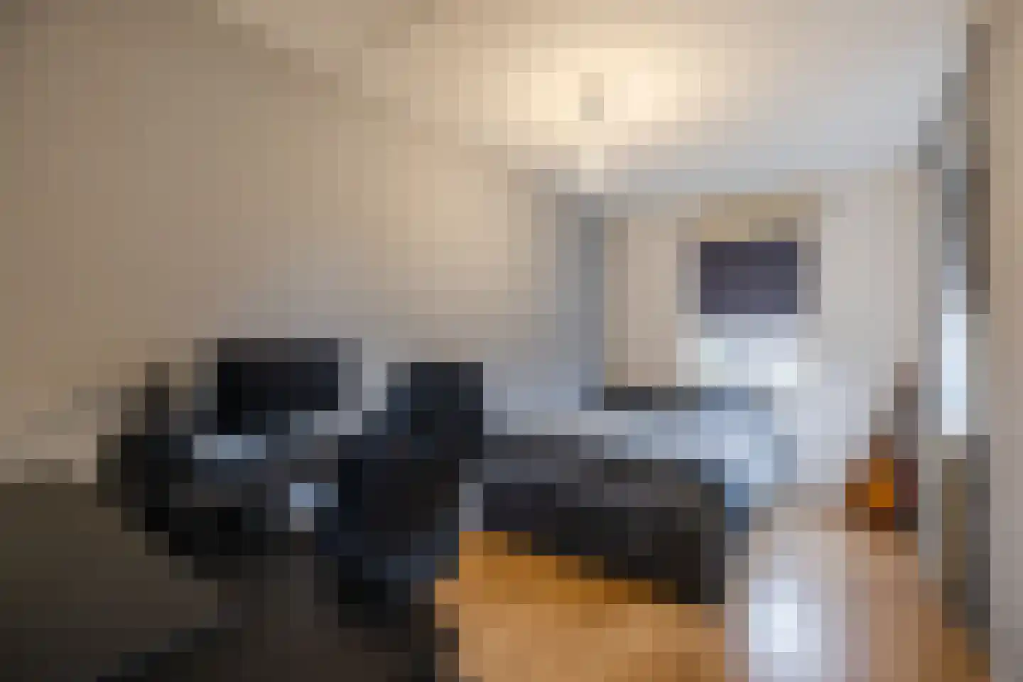 Kwartelhoek 5 Vroomshoop thumbnail 26