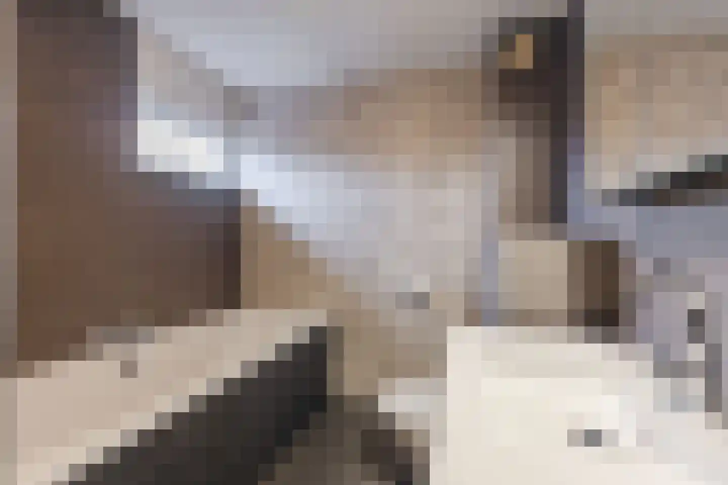Kwartelhoek 5 Vroomshoop thumbnail 30