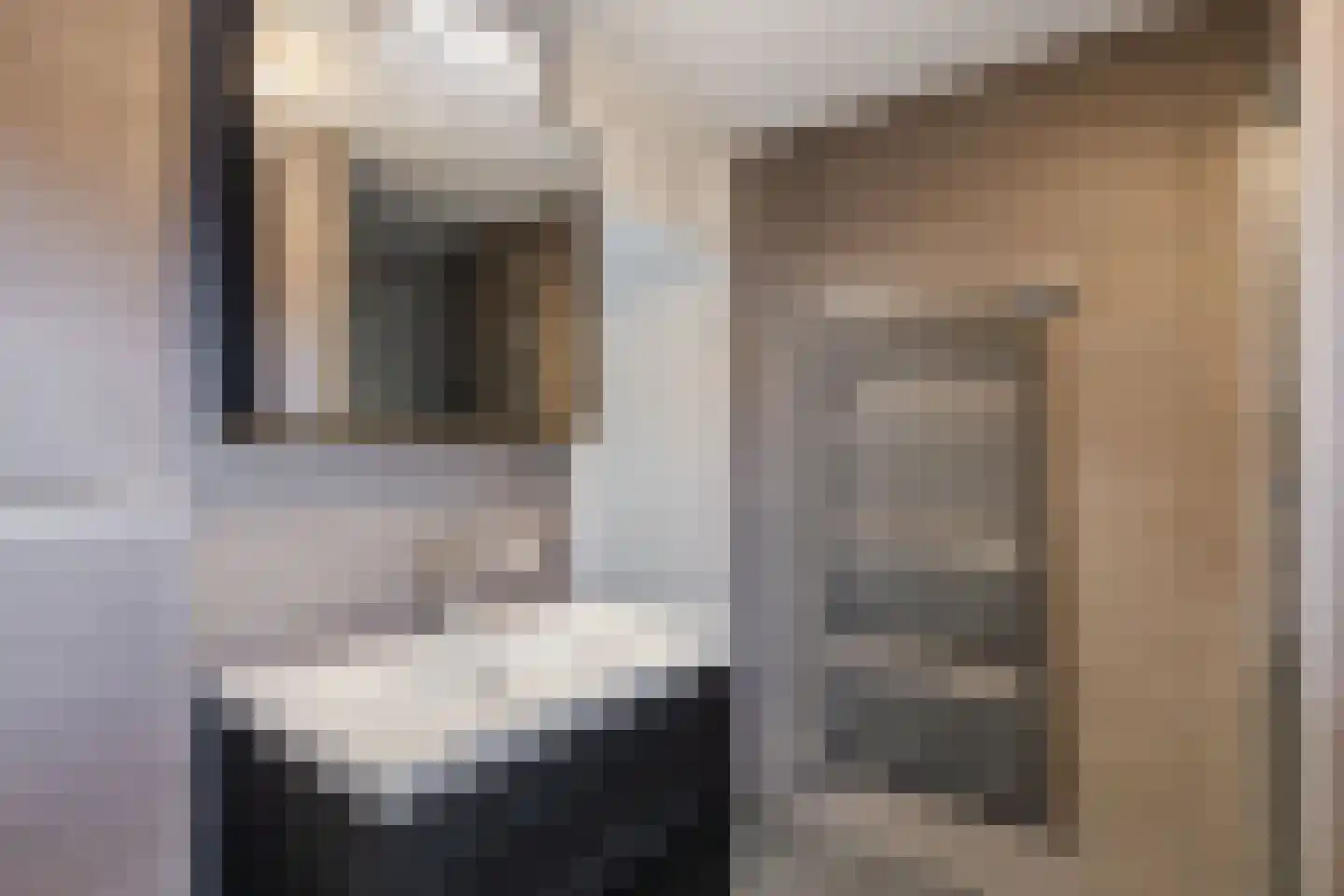 Kwartelhoek 5 Vroomshoop thumbnail 31