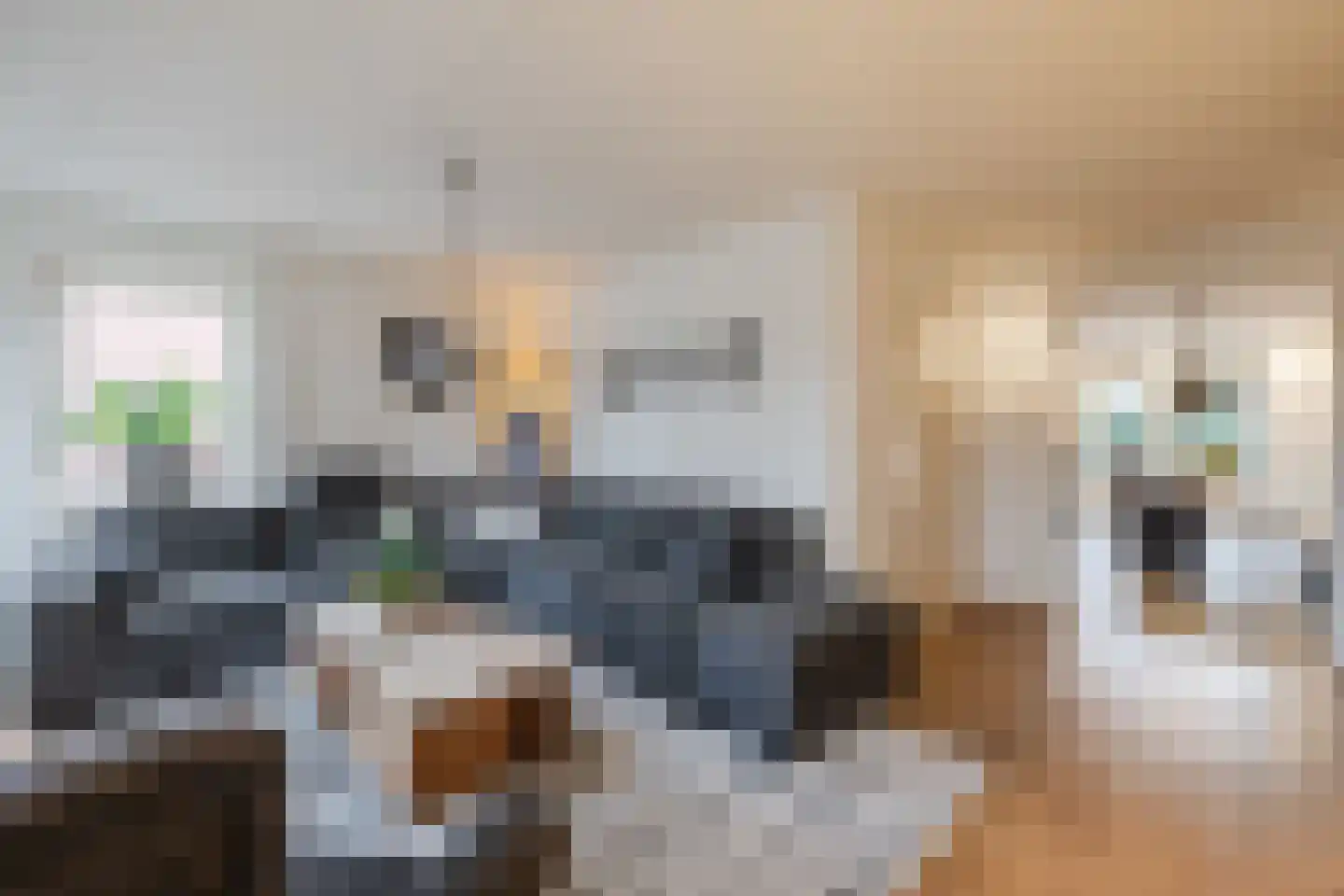 Kwartelhoek 5 Vroomshoop thumbnail 4