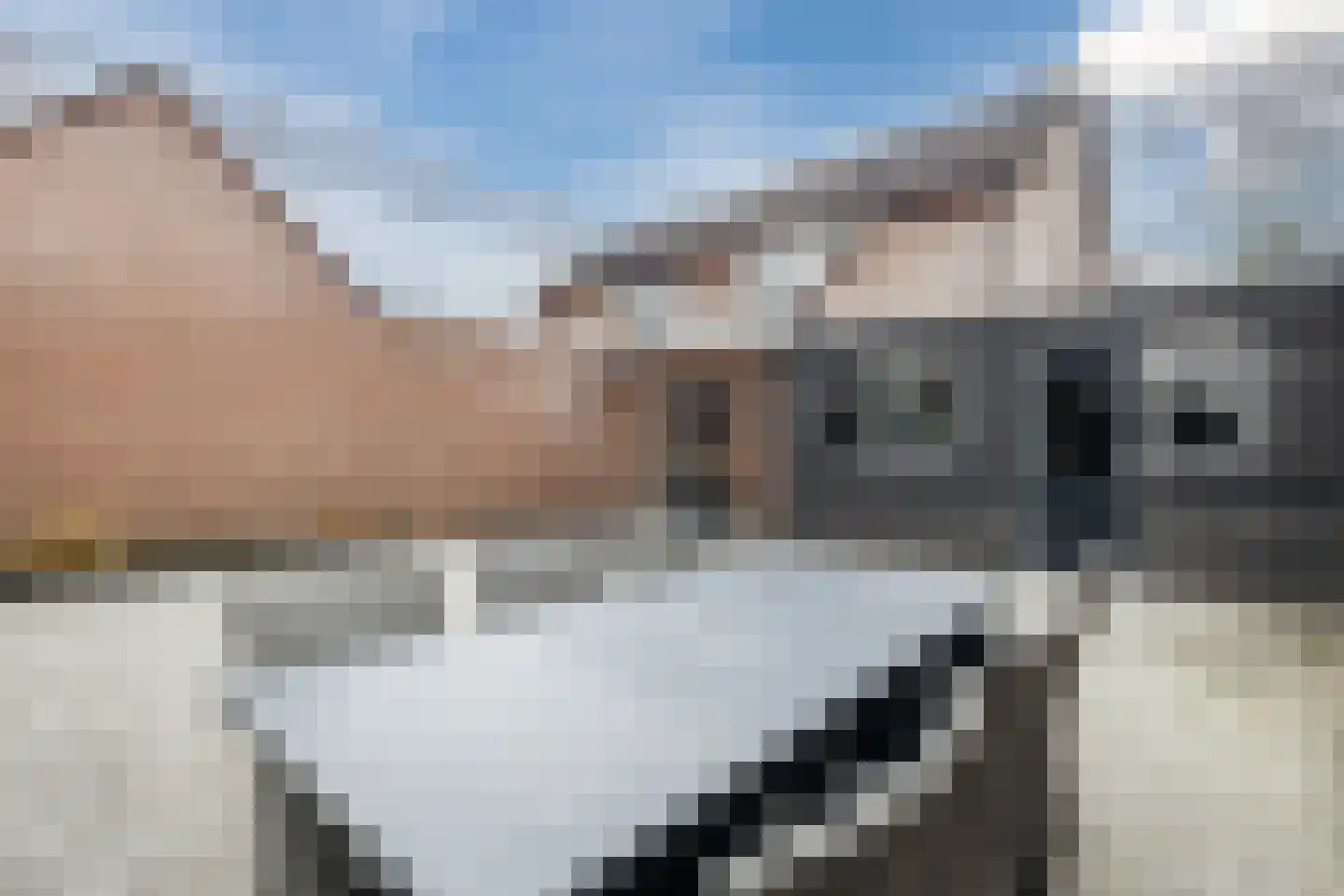 Kwartelhoek 5 Vroomshoop thumbnail 41