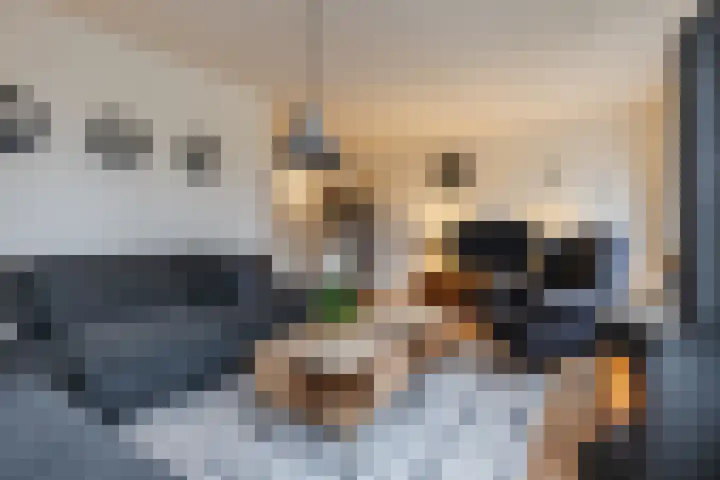 Kwartelhoek 5 Vroomshoop thumbnail 5