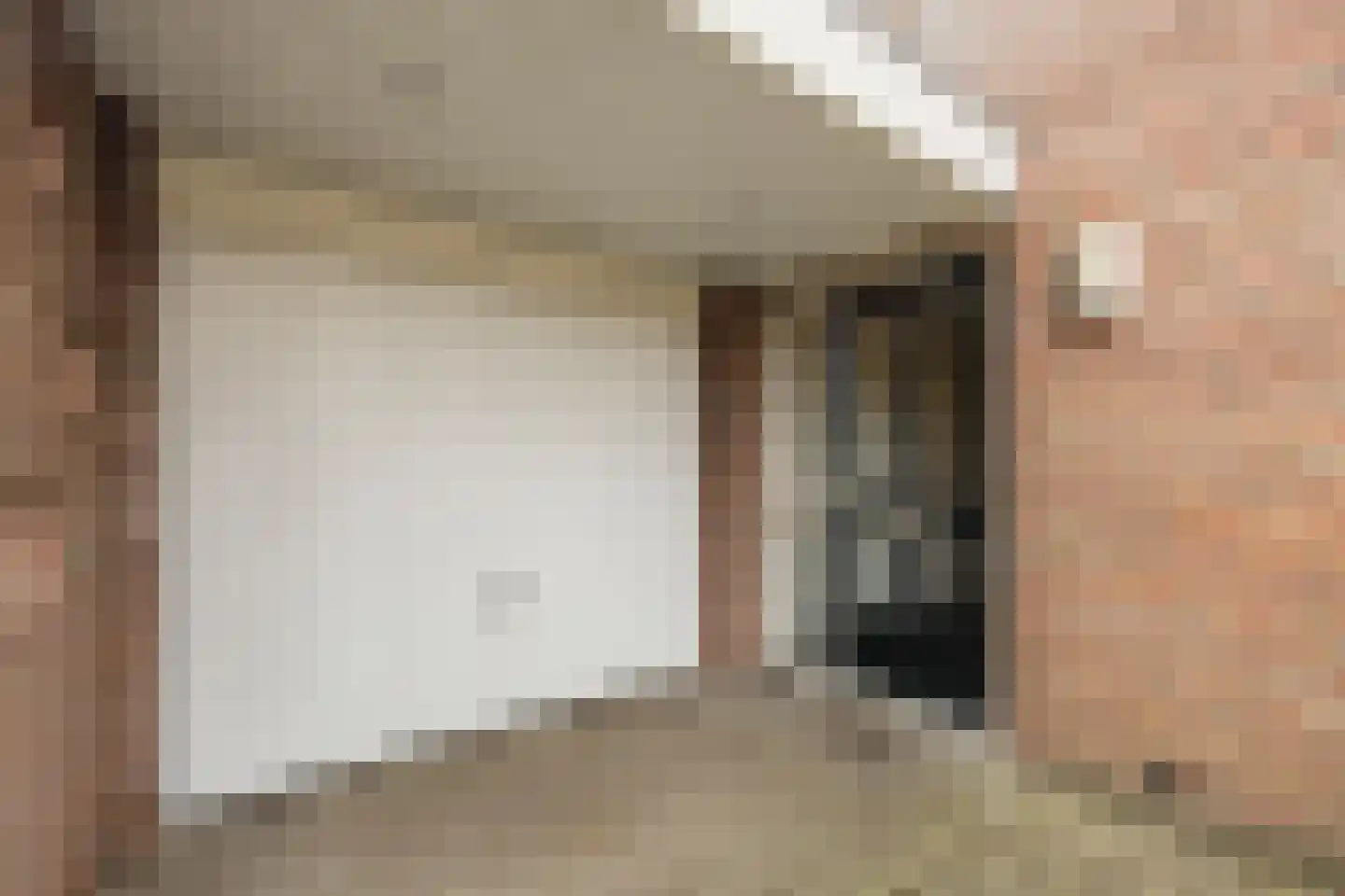 Kwartelhoek 5 Vroomshoop thumbnail 50