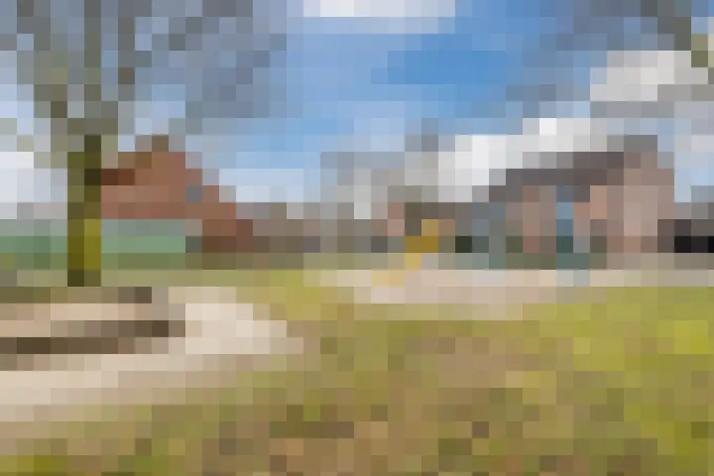 Kwartelhoek 5 Vroomshoop thumbnail 52