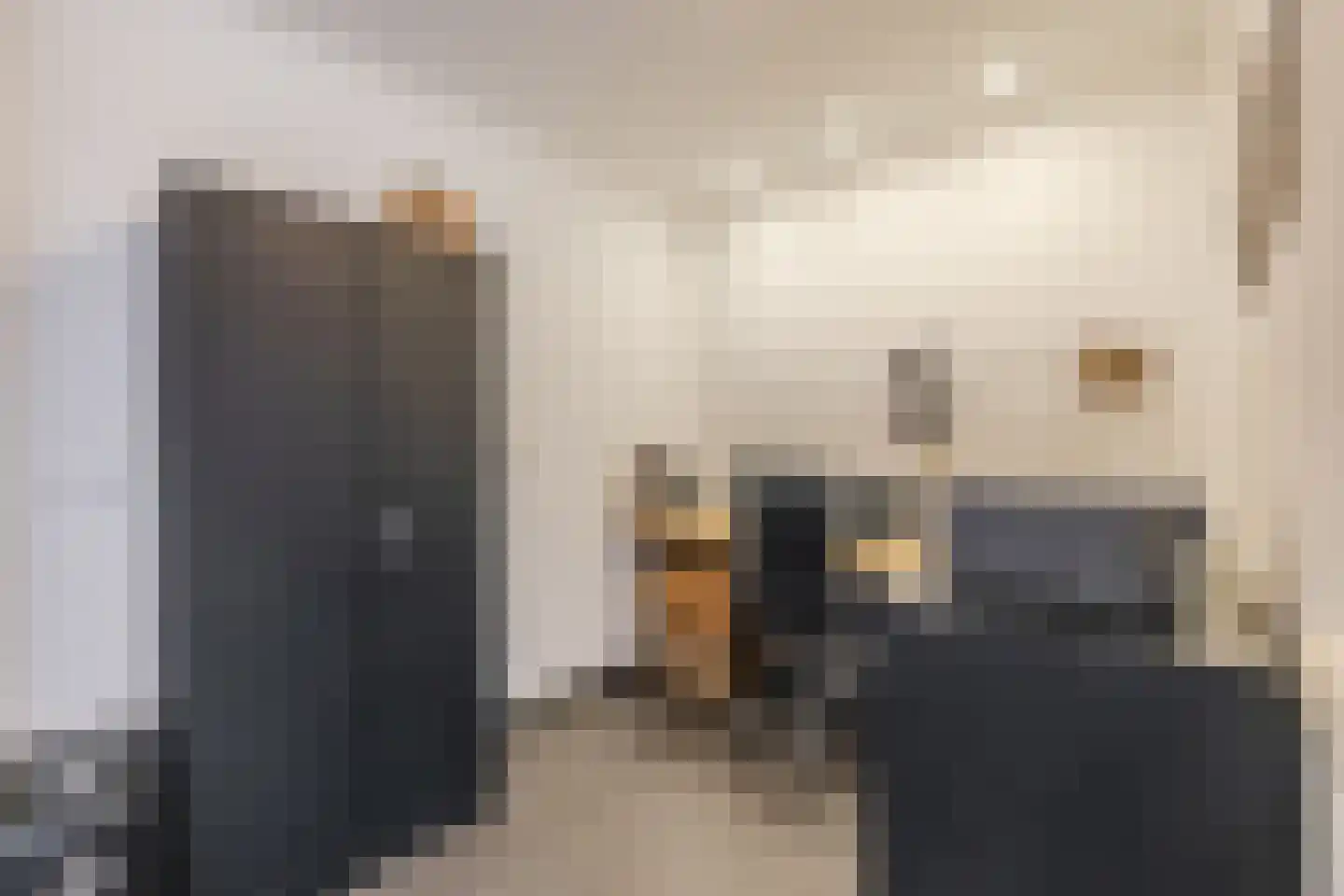Kwartelhoek 5 Vroomshoop thumbnail 9
