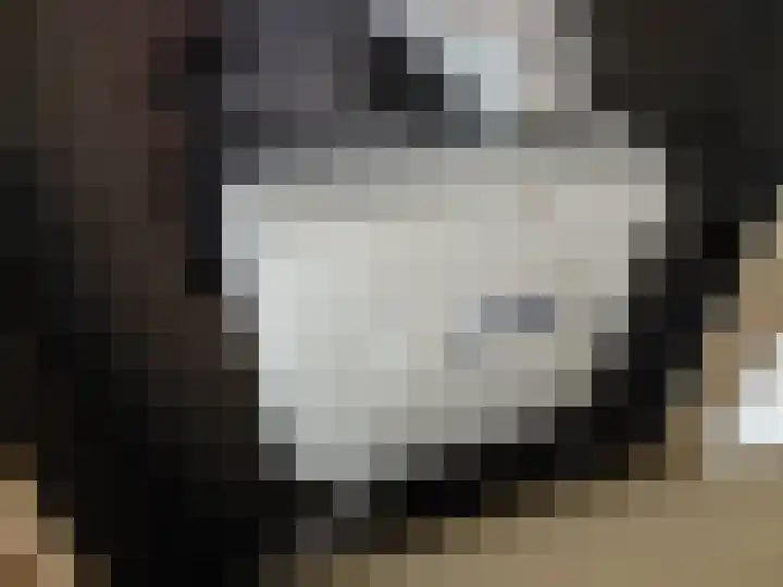 Kwartelhof 3 Schagen thumbnail 17