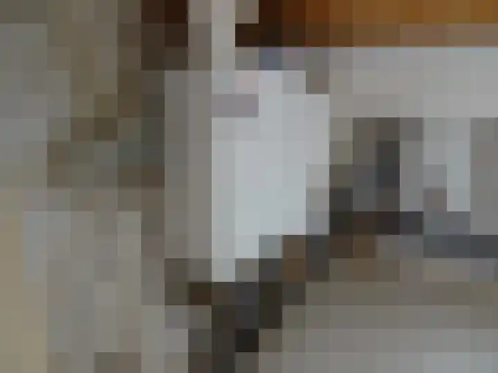 Kwartelhof 3 Schagen thumbnail 18