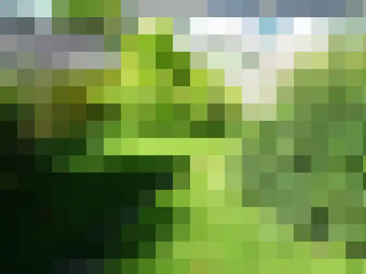 Kwartelhof 3 Schagen thumbnail 20