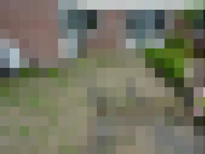 Kwartelhof 3 Schagen thumbnail 22