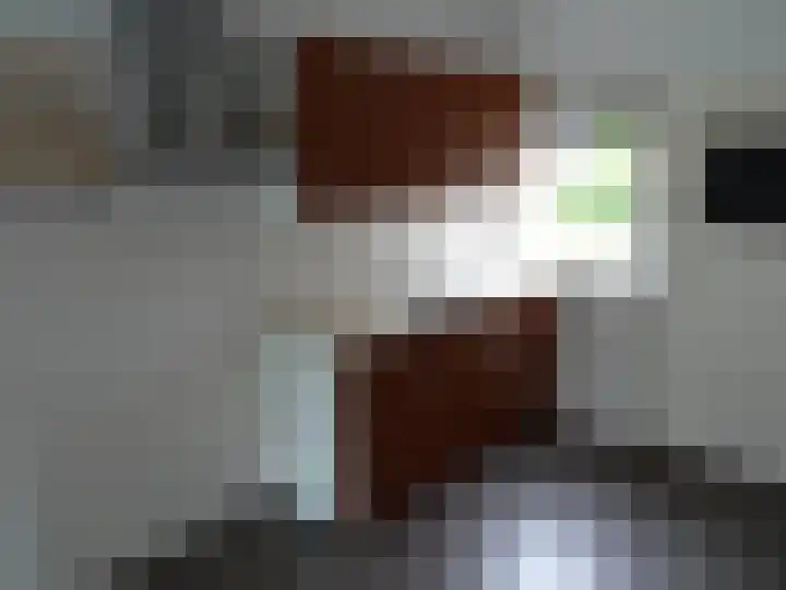 Kwartelhof 3 Schagen thumbnail 4