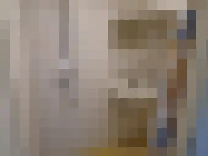 Kwartelhof 3 Schagen thumbnail 5