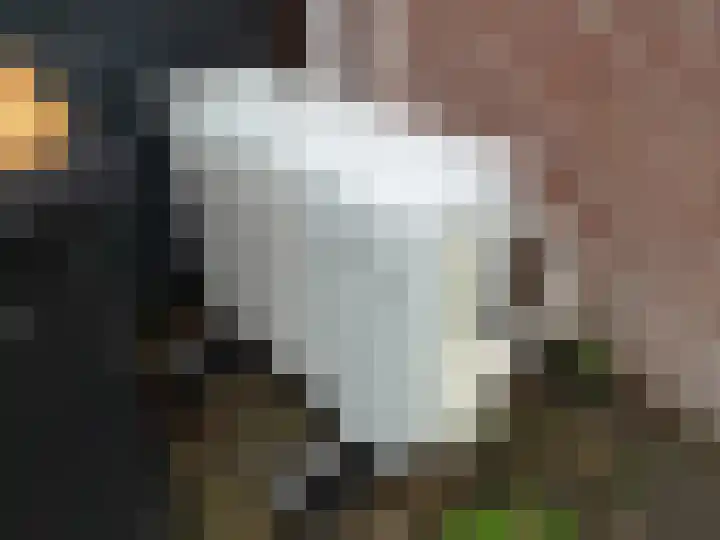Kwartelhof 3 Schagen thumbnail 6