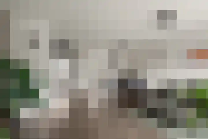 Kwartelkoning 2 IJsselstein thumbnail 15