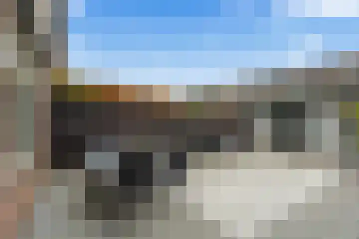 Kwartelkoning 2 IJsselstein thumbnail 20