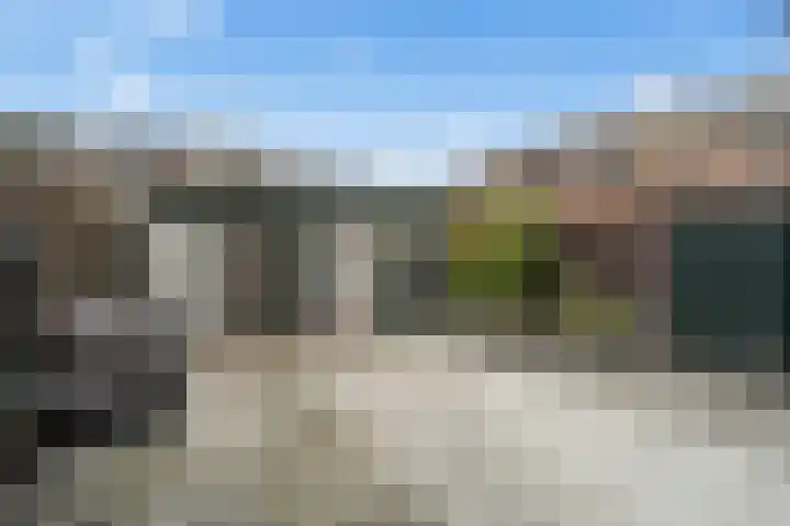 Kwartelkoning 2 IJsselstein thumbnail 21
