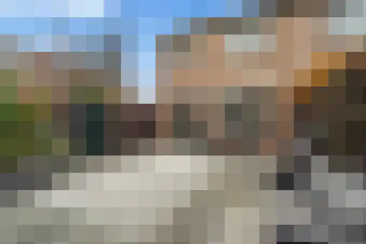 Kwartelkoning 2 IJsselstein thumbnail 24
