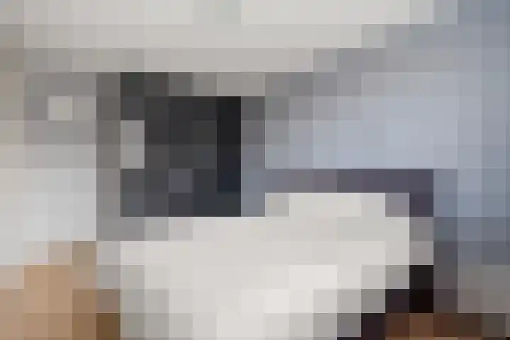 Kwartelkoning 2 IJsselstein thumbnail 27