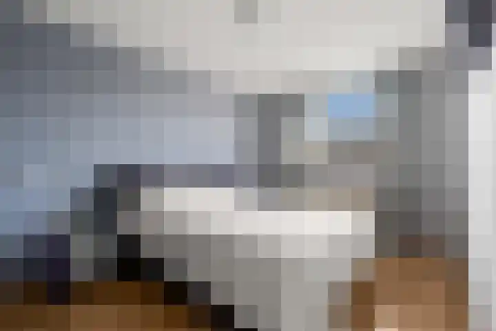 Kwartelkoning 2 IJsselstein thumbnail 28
