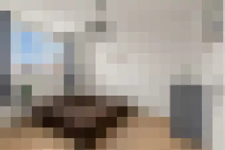 Kwartelkoning 2 IJsselstein thumbnail 30