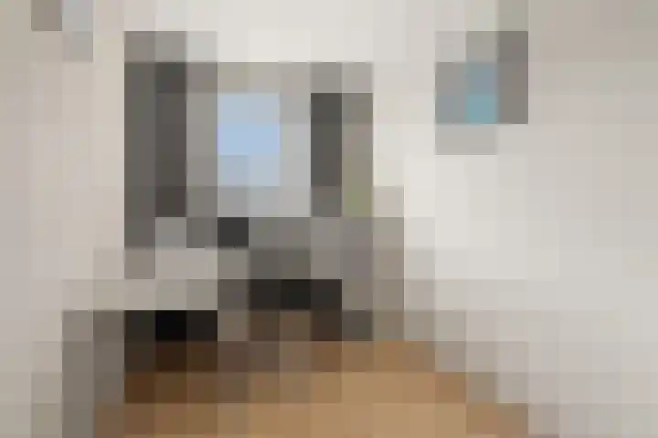 Kwartelkoning 2 IJsselstein thumbnail 33