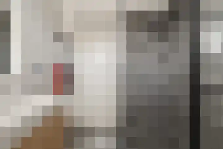 Kwartelkoning 2 IJsselstein thumbnail 36