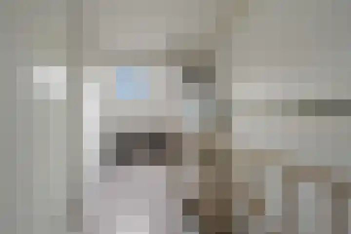 Kwartelkoning 2 IJsselstein thumbnail 39
