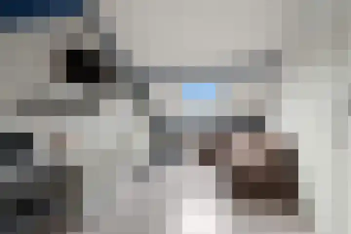 Kwartelkoning 2 IJsselstein thumbnail 41