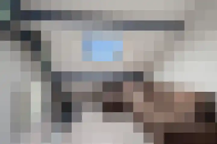 Kwartelkoning 2 IJsselstein thumbnail 42