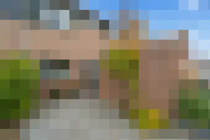 Kwartelkoning 2 IJsselstein thumbnail 6