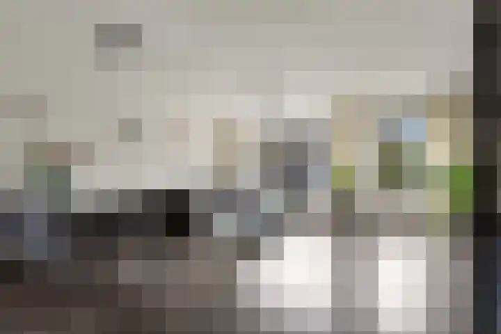 Kwartelkoning 2 IJsselstein thumbnail 9