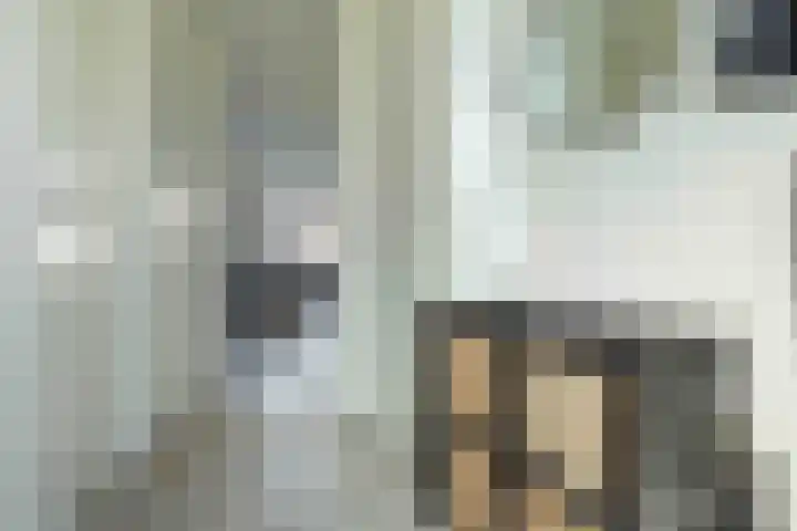 Kwartelkoning 7 Bruchem thumbnail 11